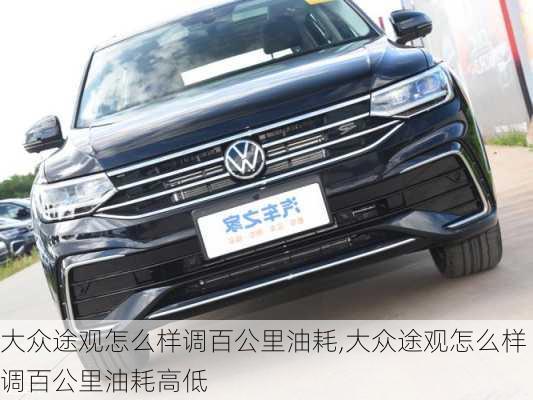 大众途观怎么样调百公里油耗,大众途观怎么样调百公里油耗高低