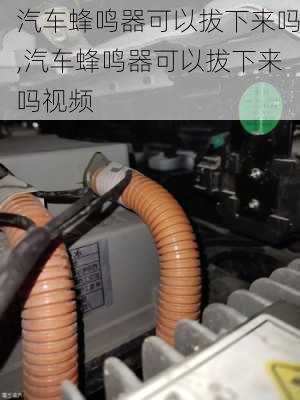 汽车蜂鸣器可以拔下来吗,汽车蜂鸣器可以拔下来吗视频