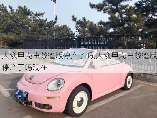 大众甲壳虫敞篷版停产了吗,大众甲壳虫敞篷版停产了吗现在