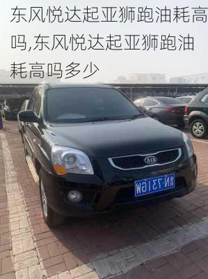 东风悦达起亚狮跑油耗高吗,东风悦达起亚狮跑油耗高吗多少