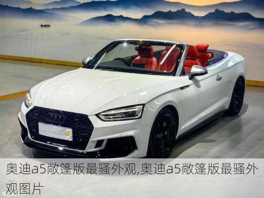 奥迪a5敞篷版最骚外观,奥迪a5敞篷版最骚外观图片