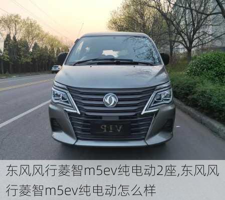东风风行菱智m5ev纯电动2座,东风风行菱智m5ev纯电动怎么样