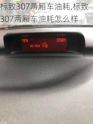 标致307两厢车油耗,标致307两厢车油耗怎么样