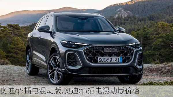 奥迪q5插电混动版,奥迪q5插电混动版价格