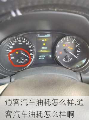 逍客汽车油耗怎么样,逍客汽车油耗怎么样啊