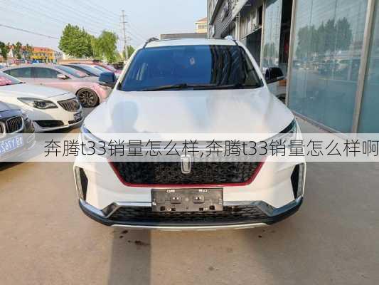 奔腾t33销量怎么样,奔腾t33销量怎么样啊