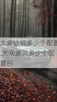 大众途锐多少个配置,大众途锐多少个配置的