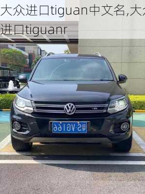 大众进口tiguan中文名,大众进口tiguanr