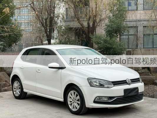 新polo自驾,polo自驾视频
