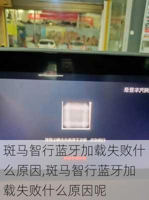 斑马智行蓝牙加载失败什么原因,斑马智行蓝牙加载失败什么原因呢