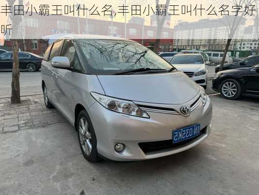 丰田小霸王叫什么名,丰田小霸王叫什么名字好听