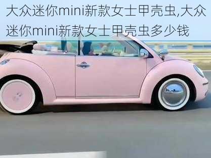 大众迷你mini新款女士甲壳虫,大众迷你mini新款女士甲壳虫多少钱