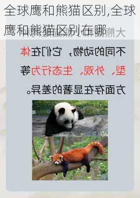全球鹰和熊猫区别,全球鹰和熊猫区别在哪