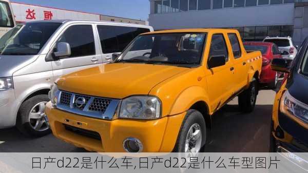 日产d22是什么车,日产d22是什么车型图片