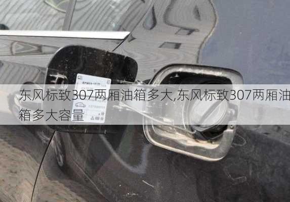 东风标致307两厢油箱多大,东风标致307两厢油箱多大容量