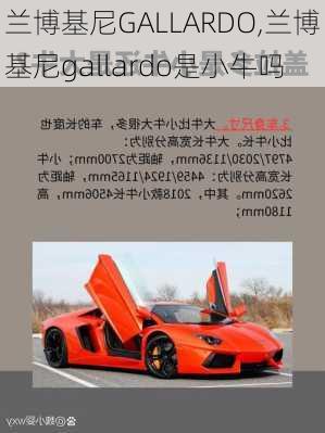 兰博基尼GALLARDO,兰博基尼gallardo是小牛吗