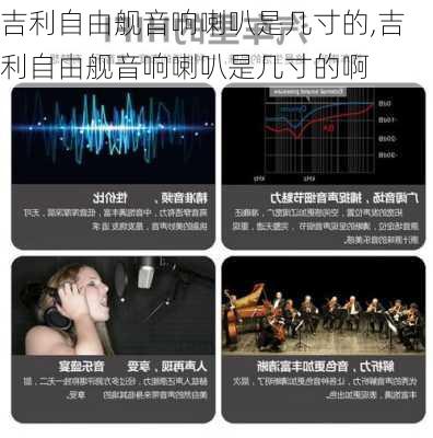 吉利自由舰音响喇叭是几寸的,吉利自由舰音响喇叭是几寸的啊
