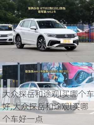 大众探岳和途观l买哪个车好,大众探岳和途观l买哪个车好一点