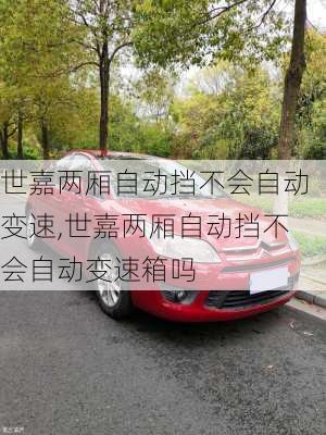 世嘉两厢自动挡不会自动变速,世嘉两厢自动挡不会自动变速箱吗