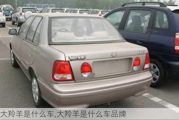 大羚羊是什么车,大羚羊是什么车品牌