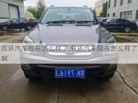 双环汽车现在怎么样了,双环汽车现在怎么样了啊