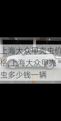 上海大众甲壳虫价格,上海大众甲壳虫多少钱一辆