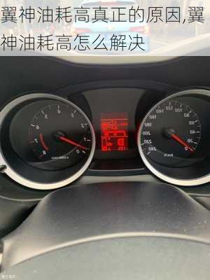翼神油耗高真正的原因,翼神油耗高怎么解决