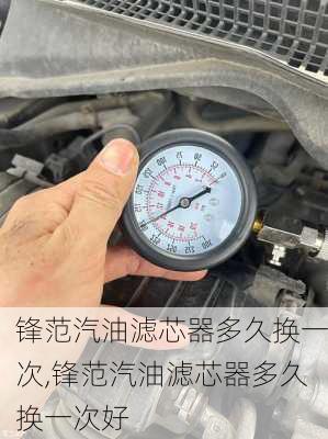锋范汽油滤芯器多久换一次,锋范汽油滤芯器多久换一次好
