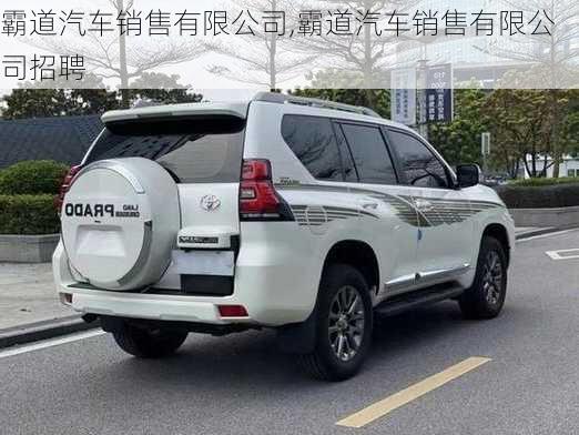 霸道汽车销售有限公司,霸道汽车销售有限公司招聘