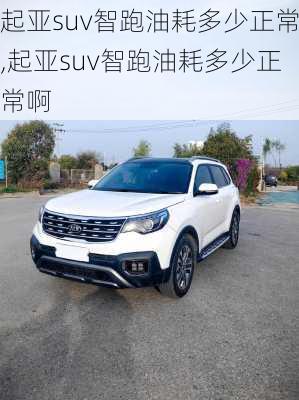 起亚suv智跑油耗多少正常,起亚suv智跑油耗多少正常啊