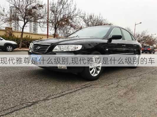 现代雅尊是什么级别,现代雅尊是什么级别的车