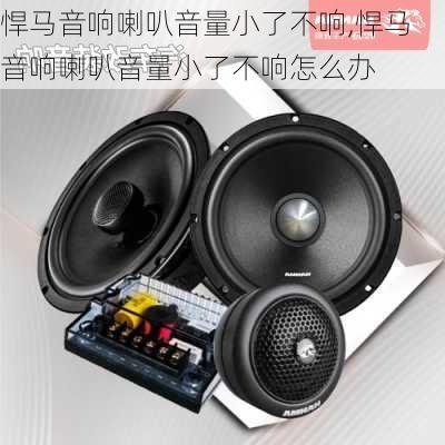 悍马音响喇叭音量小了不响,悍马音响喇叭音量小了不响怎么办