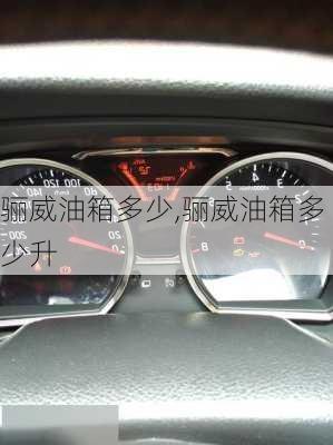 骊威油箱多少,骊威油箱多少升