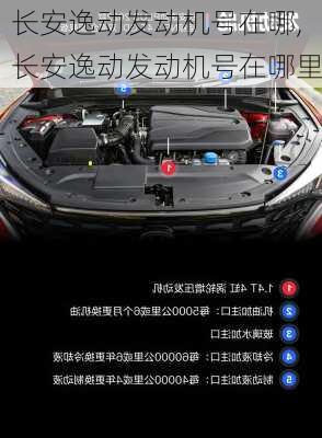 长安逸动发动机号在哪,长安逸动发动机号在哪里