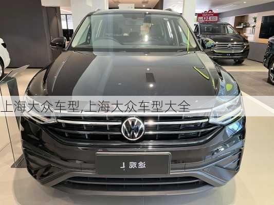上海大众车型,上海大众车型大全