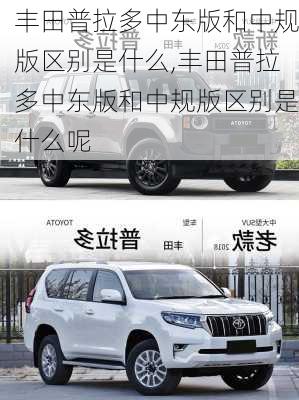 丰田普拉多中东版和中规版区别是什么,丰田普拉多中东版和中规版区别是什么呢