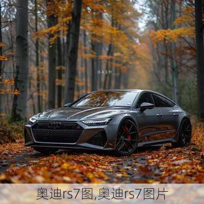 奥迪rs7图,奥迪rs7图片