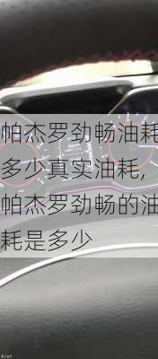 帕杰罗劲畅油耗多少真实油耗,帕杰罗劲畅的油耗是多少