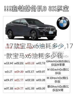 17款宝马x6油耗多少,17款宝马x6油耗多少钱