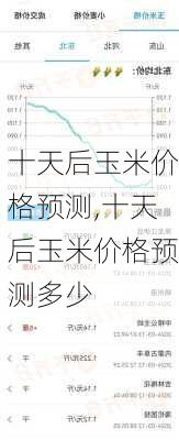 十天后玉米价格预测,十天后玉米价格预测多少