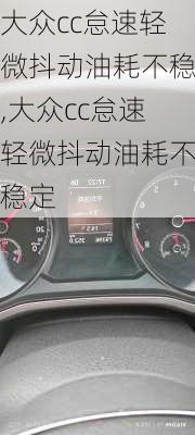大众cc怠速轻微抖动油耗不稳,大众cc怠速轻微抖动油耗不稳定