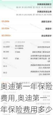 奥迪第一年保险费用,奥迪第一年保险费用多少
