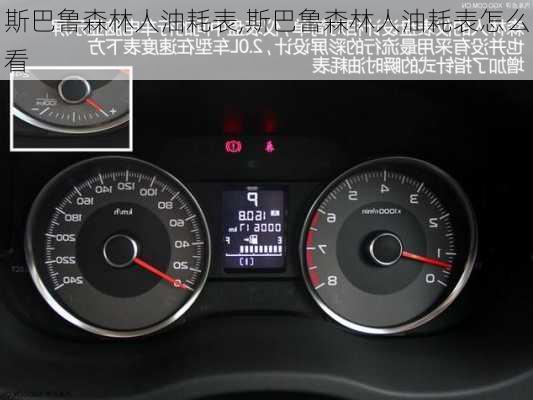 斯巴鲁森林人油耗表,斯巴鲁森林人油耗表怎么看