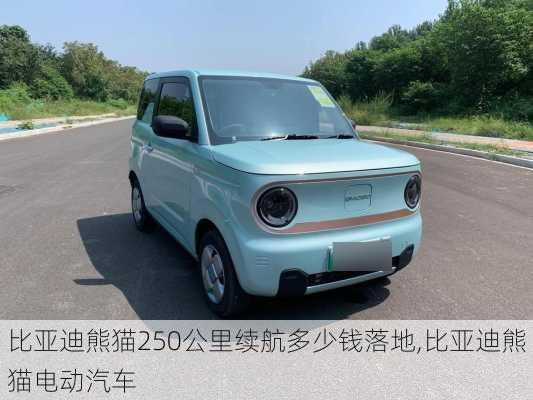 比亚迪熊猫250公里续航多少钱落地,比亚迪熊猫电动汽车