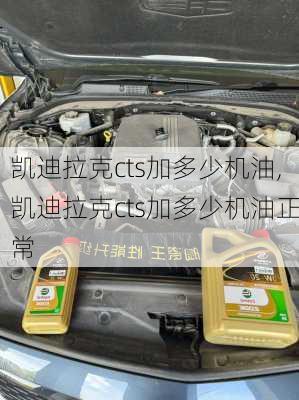 凯迪拉克cts加多少机油,凯迪拉克cts加多少机油正常