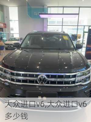 大众进口v6,大众进口v6多少钱