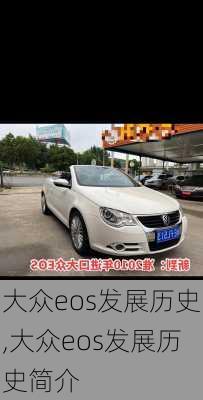 大众eos发展历史,大众eos发展历史简介