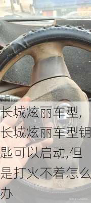 长城炫丽车型,长城炫丽车型钥匙可以启动,但是打火不着怎么办
