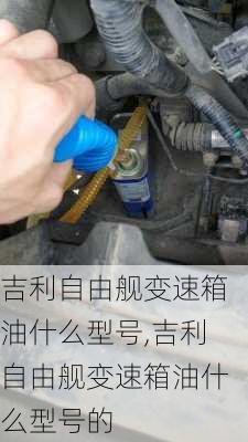 吉利自由舰变速箱油什么型号,吉利自由舰变速箱油什么型号的