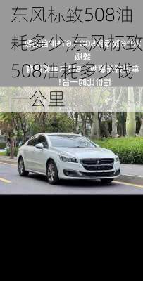 东风标致508油耗多少,东风标致508油耗多少钱一公里